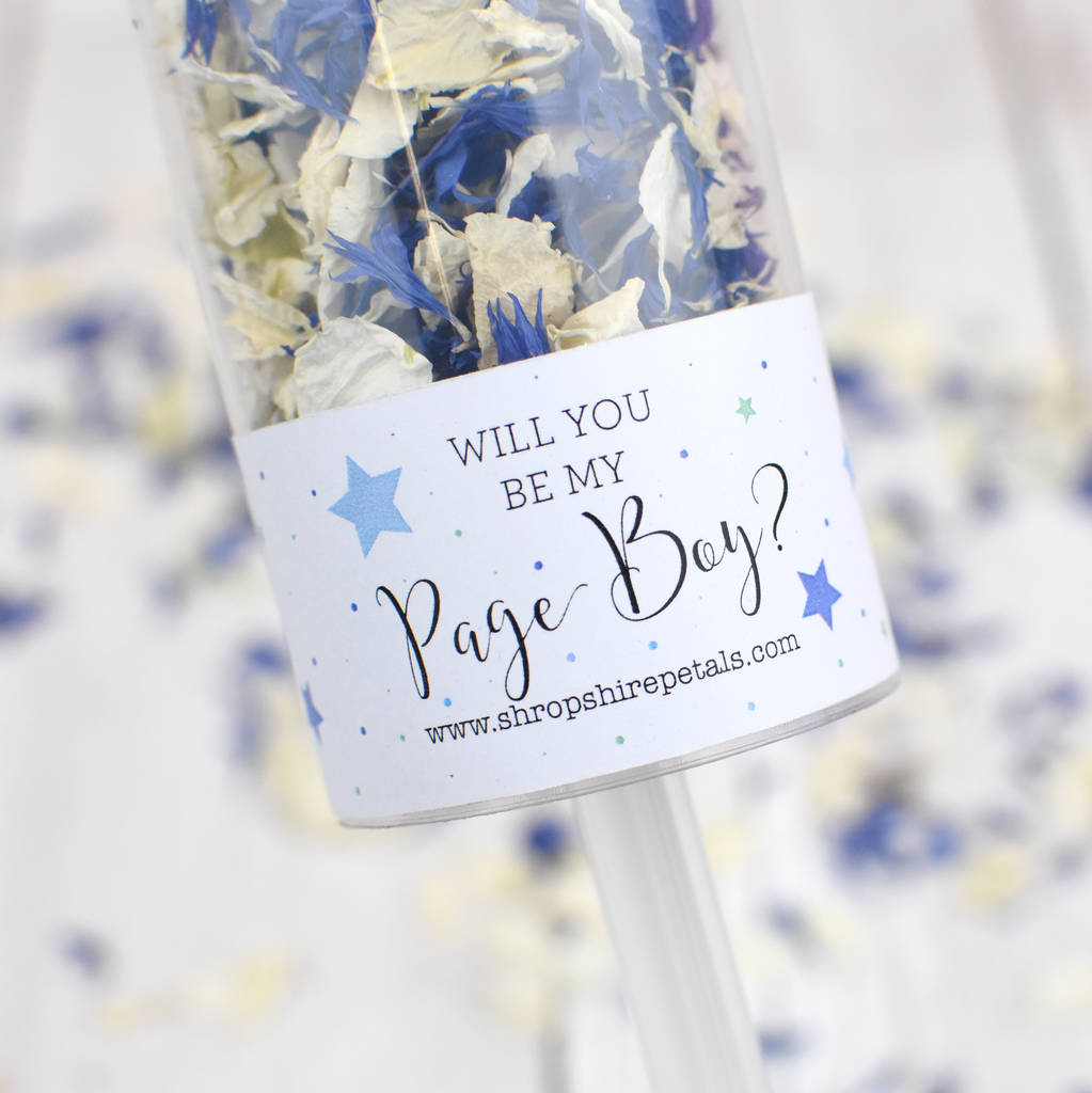 Will You Be My Page Boy Confetti Pop, Proposal, 1 of 7
