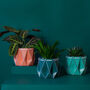 Three Origami Self Watering Eco Plant Pots, thumbnail 9 of 12