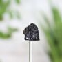 Tektite Meteorite Bell Jar Real Authentic Space Meteor Fragment Museum Quality Natural History Interior Design Home Decor Display Gift Ornament, thumbnail 2 of 5