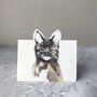 Pop Up Cat Cards, thumbnail 5 of 10