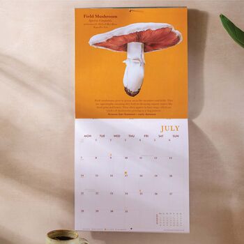 2025 Calendar | Mushroom, 5 of 9