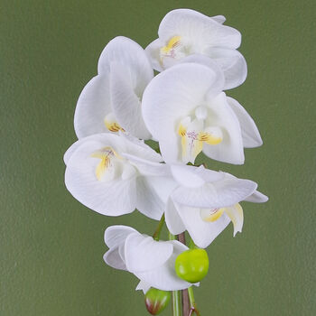 White Silver Artificial Orchid Dark 46cm Real Touch, 2 of 3