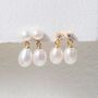 Glebe Double White Pearl And Gold Plated Drop Earrings, thumbnail 2 of 5