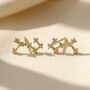 Scorpio Star Sign Constellation Astrology Tiny Earrings, thumbnail 1 of 3