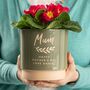 Personalised Name Indoor Plant Pot, thumbnail 1 of 10