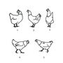 Personalised Chicken Family Print, thumbnail 7 of 8