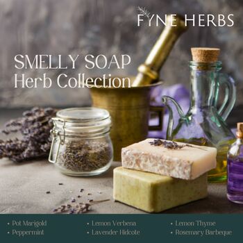 Smelly Soap Herb Collection, 3 of 12