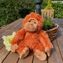 Super Soft Orangutan Cuddly Toy, thumbnail 4 of 10