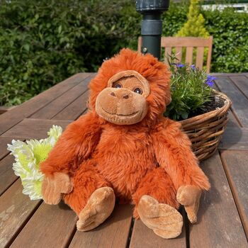 Super Soft Orangutan Cuddly Toy, 4 of 10