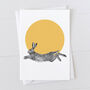 Hare Gift Wrap Pack With Card Option, thumbnail 3 of 6