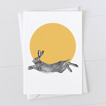 Hare Gift Wrap Pack With Card Option, 3 of 6