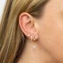 Sterling Silver Moon And Star Stud Earrings, thumbnail 3 of 8