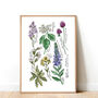 Bristol Native Plants Art Print, thumbnail 1 of 2