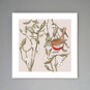 'Robin And Mistletoe' Print, thumbnail 1 of 3
