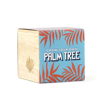 Grow Your Own Palm Tree, 2 of 2
