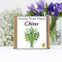 Gardening Gift. Grow Your Own Herbs. Chives Seeds Kit, thumbnail 2 of 4