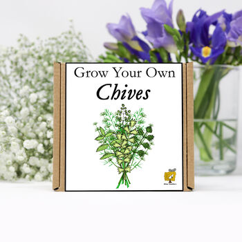Gardening Gift. Grow Your Own Herbs. Chives Seeds Kit, 2 of 4