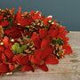 Winter Flowers Luxury Christmas Wreath, thumbnail 5 of 6