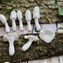 Porcelain Terrarium Fungi, thumbnail 2 of 9