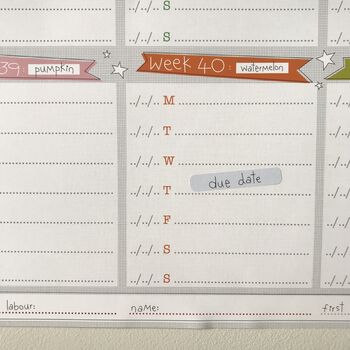 Baby Countdown Pregnancy Planner Wall Calendar, 12 of 12