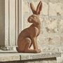 Rusty Hare, thumbnail 1 of 5