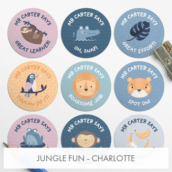 Personalised Teacher Stickers 54 Stickers, 9 of 12