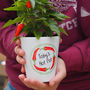 Personalised Chilli Plant Pot Gift For Him, thumbnail 2 of 4
