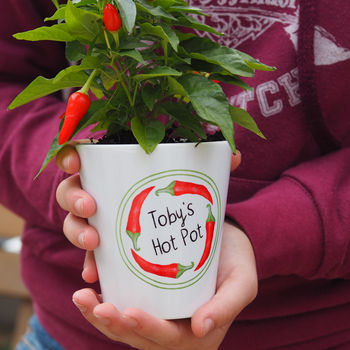 Personalised Chilli Plant Pot Gift For Him, 2 of 4