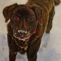 Bespoke Oil Pet Portrait On Canvas, thumbnail 6 of 7