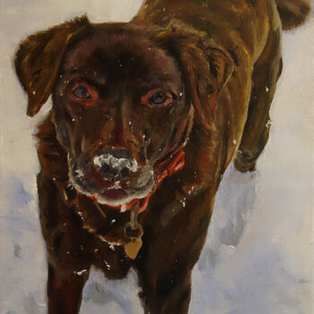 Bespoke Oil Pet Portrait On Canvas, 6 of 7