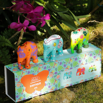 ‘Exotique’ Elephant Gift Set Three X 7cm Elephants, 7 of 8