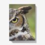A5 Hardback Notebook Featuring A Great Horned Owl, thumbnail 1 of 4