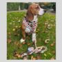 Patchwork Dog Lead/Leash, thumbnail 6 of 6