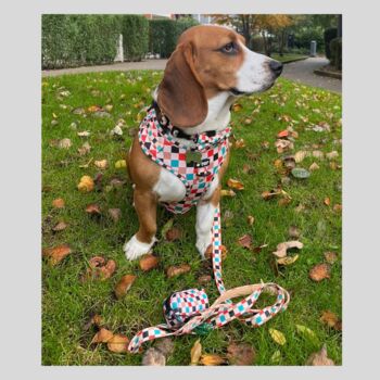 Patchwork Dog Lead/Leash, 6 of 6