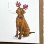 Labrador Christmas Card, thumbnail 8 of 9