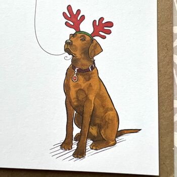 Labrador Christmas Card, 8 of 9