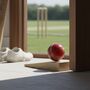Personalised Full Size Cricket Ball Doorstop, thumbnail 5 of 10