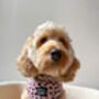 Beige And Black Scruffy Dots Dog Harness, thumbnail 4 of 9