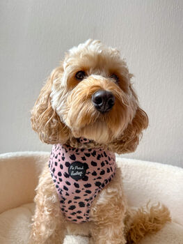 Beige And Black Scruffy Dots Dog Harness, 4 of 9