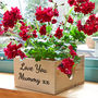 Personalised Wooden Plant Pot Holder, thumbnail 2 of 6