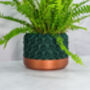 Forest Transform Planter, thumbnail 4 of 4