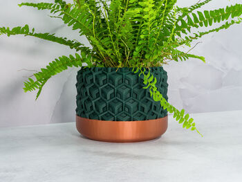 Forest Transform Planter, 4 of 4