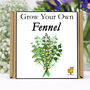 Gardening Gift. Grow Your Own Herbs. Fennel Seeds Kit, thumbnail 1 of 6