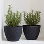 Pack Of Two Minimalist Planters With Drainage Holes, thumbnail 10 of 10
