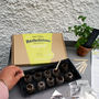 Indoor And Outdoor Herb Growing Kit, thumbnail 1 of 1