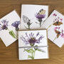 Butterflies And Bees Botanical Art Card Gift Pack, thumbnail 1 of 5