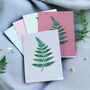 Set Of Five Fern Greeting Cards, thumbnail 1 of 2