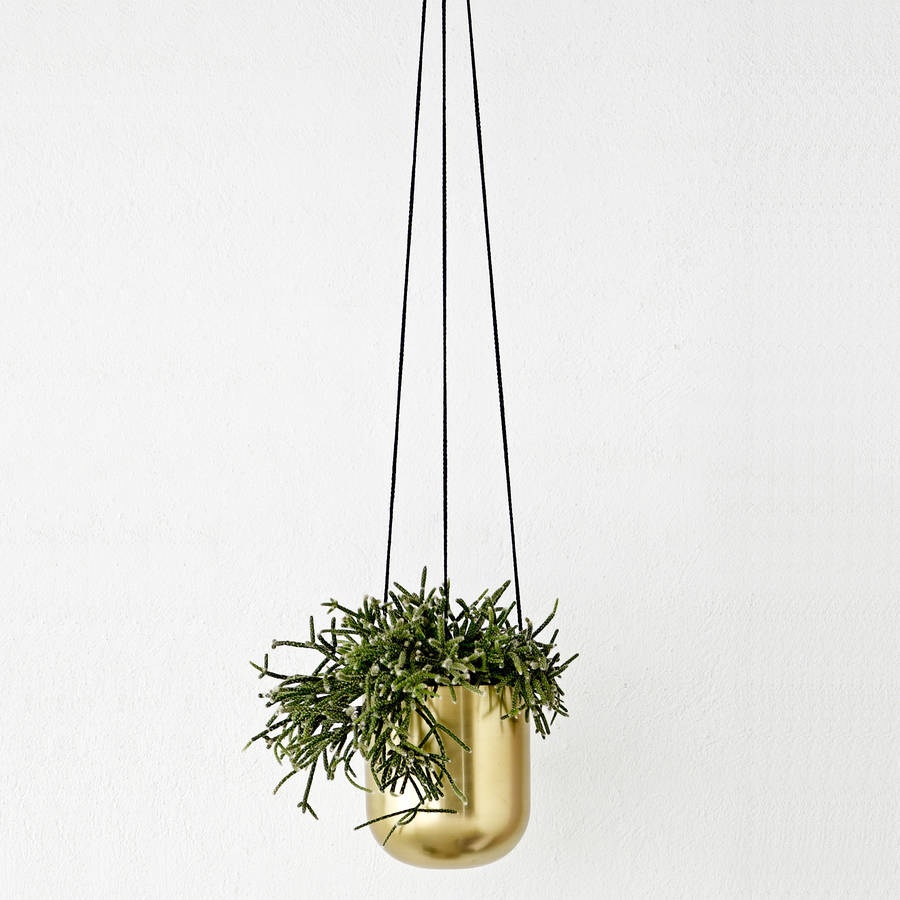 hanging flower pot in brass or copper by out there interiors