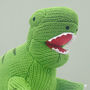 T Rex Dinosaur Soft Toy And Personalised Pyjamas, thumbnail 2 of 8