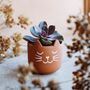 Terracotta Cat Planter With A Succulent, thumbnail 2 of 2